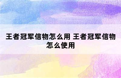 王者冠军信物怎么用 王者冠军信物怎么使用